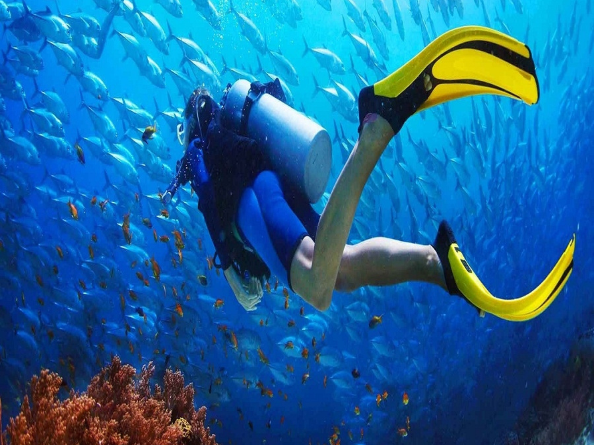 THE ISLAND STORY:ANDAMAN